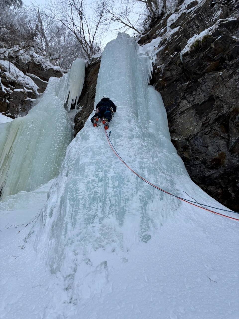 不動戻しのさらに先にもいいアイスが