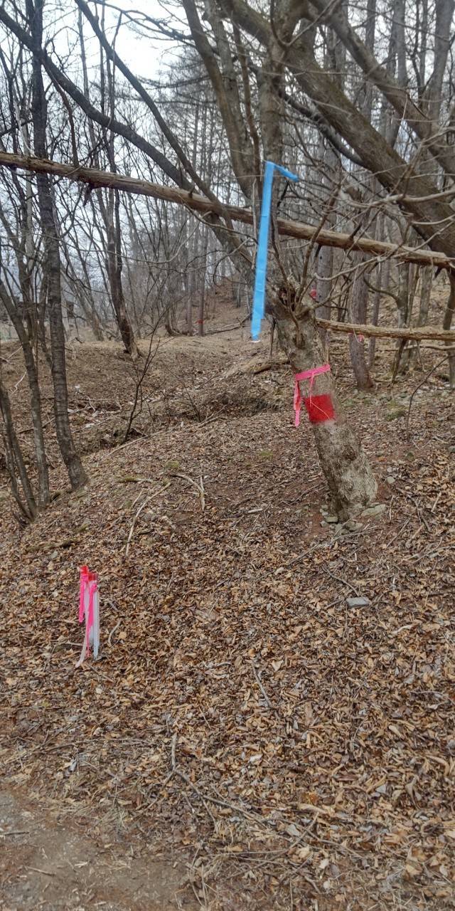 カブコロン方面踏み跡の入り口?