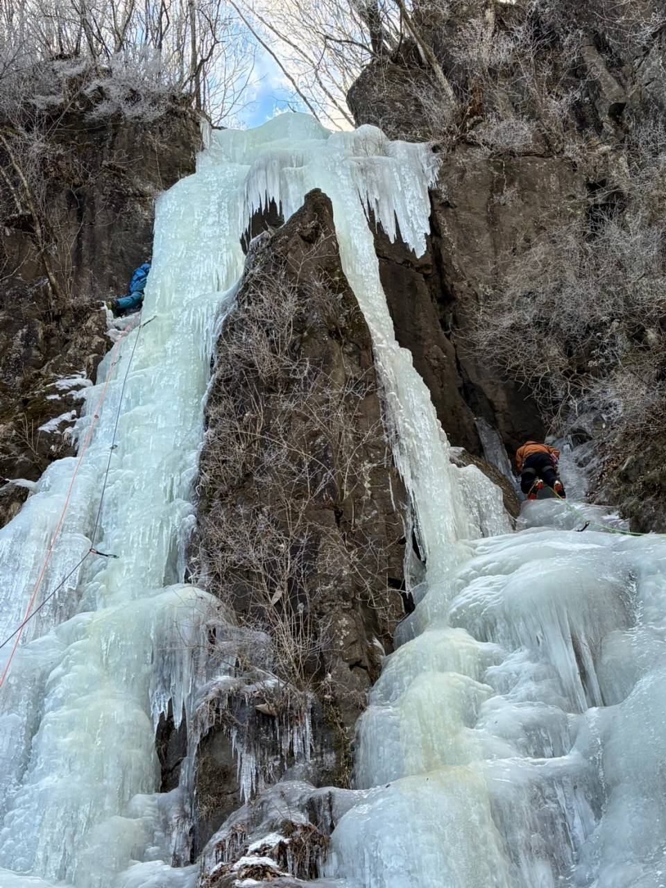 ナメネコフォール