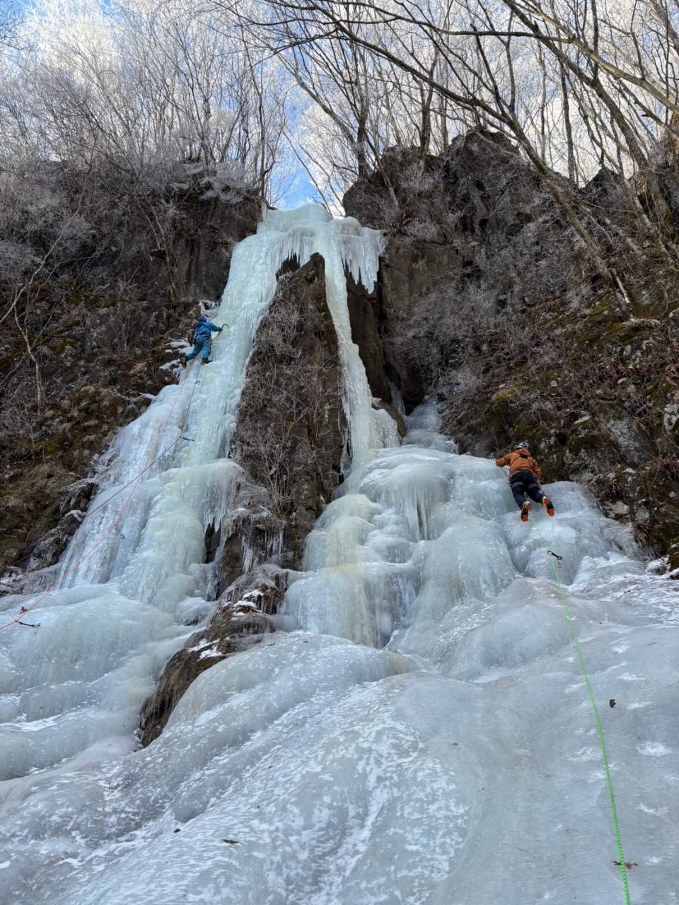 ナメネコフォール