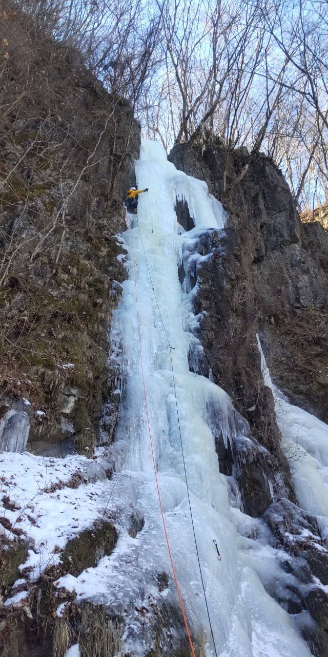 ナメネコフォール