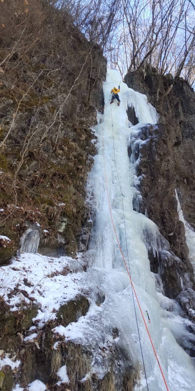 ナメネコフォール