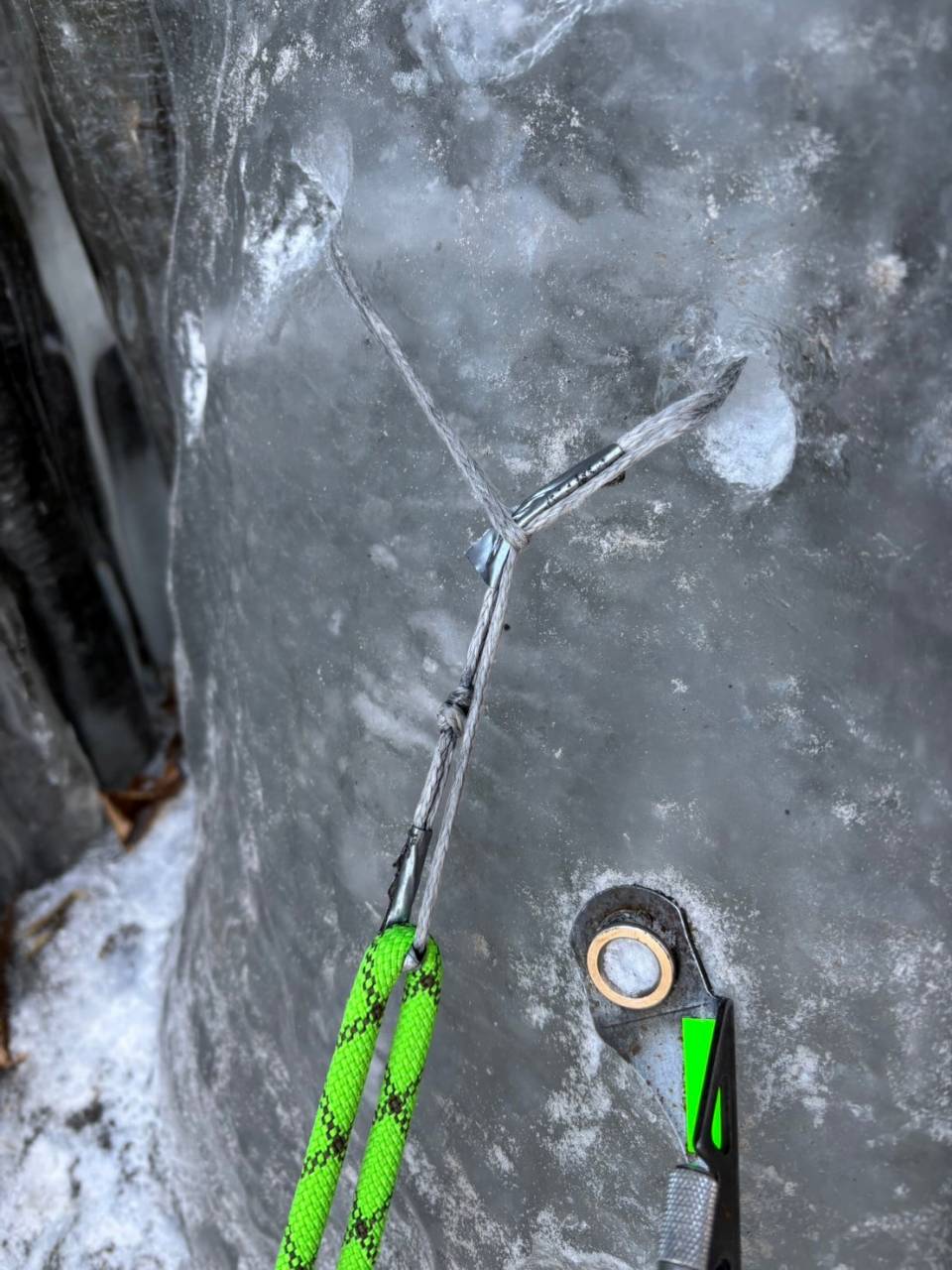 ナメネコフォール