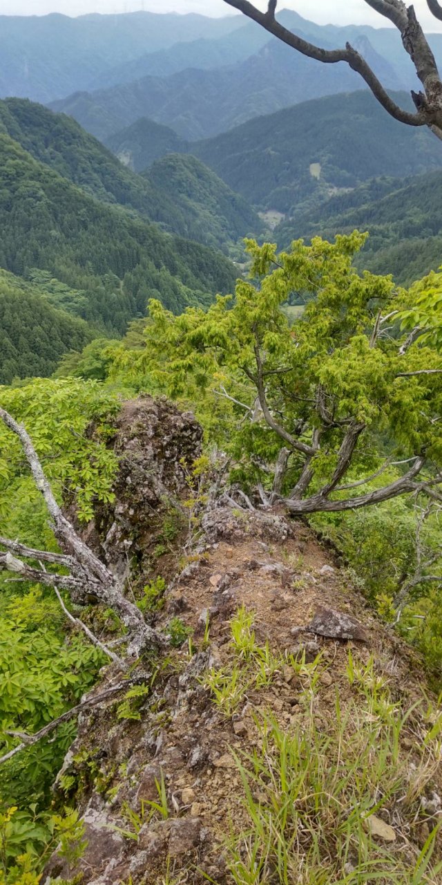 間違えて出くわした岩稜