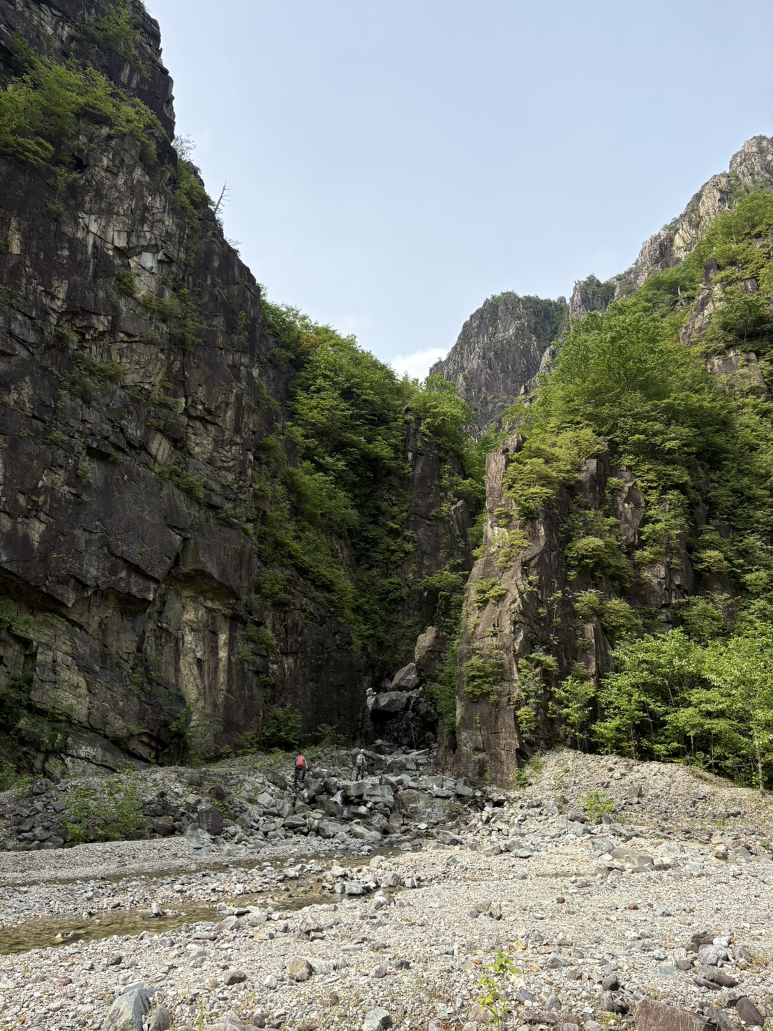 ウメコバ沢1